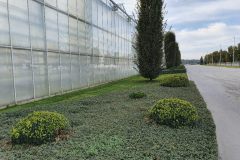 belana-vrt-farma-tomasinci-001