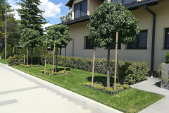 belana-vrtovi-hotel-ivankovo_007