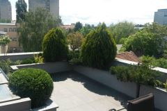 belana-vrt-arithera-zagreb-005