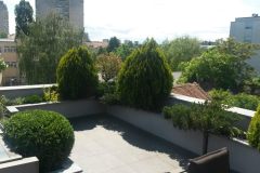 belana-vrt-arithera-zagreb-006