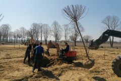 belana-vrtovi-nutris-tech-003