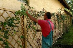 belana-privatni-vrt-prekrizje_017