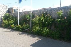 belana-vrt-rezidencija-britanskog-ambasadora-006