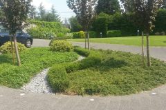 belana-vrt-rezidencija-britanskog-ambasadora-020