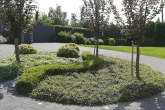 belana-vrt-rezidencija-britanskog-ambasadora-040